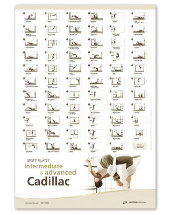 Wall Chart- Int/Adv Cadillac