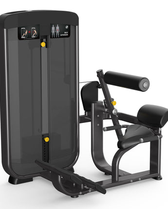 Spirit Fitness Selectorized Back Extension